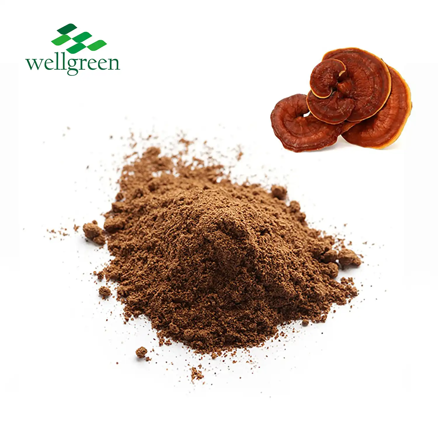 Ganoderma Extract Powder